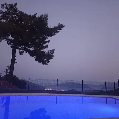 Sunrise فيلة *